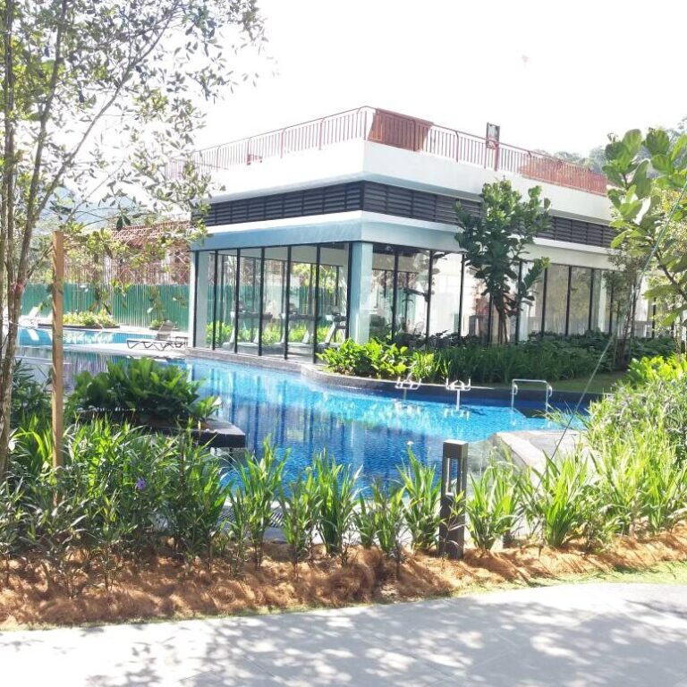 Our Projects